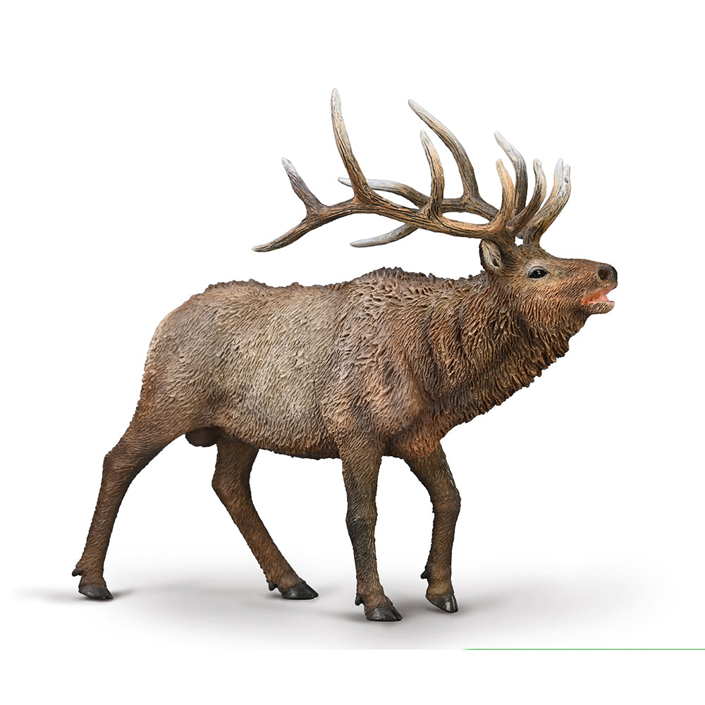 collecta-wapiti-9580021-1