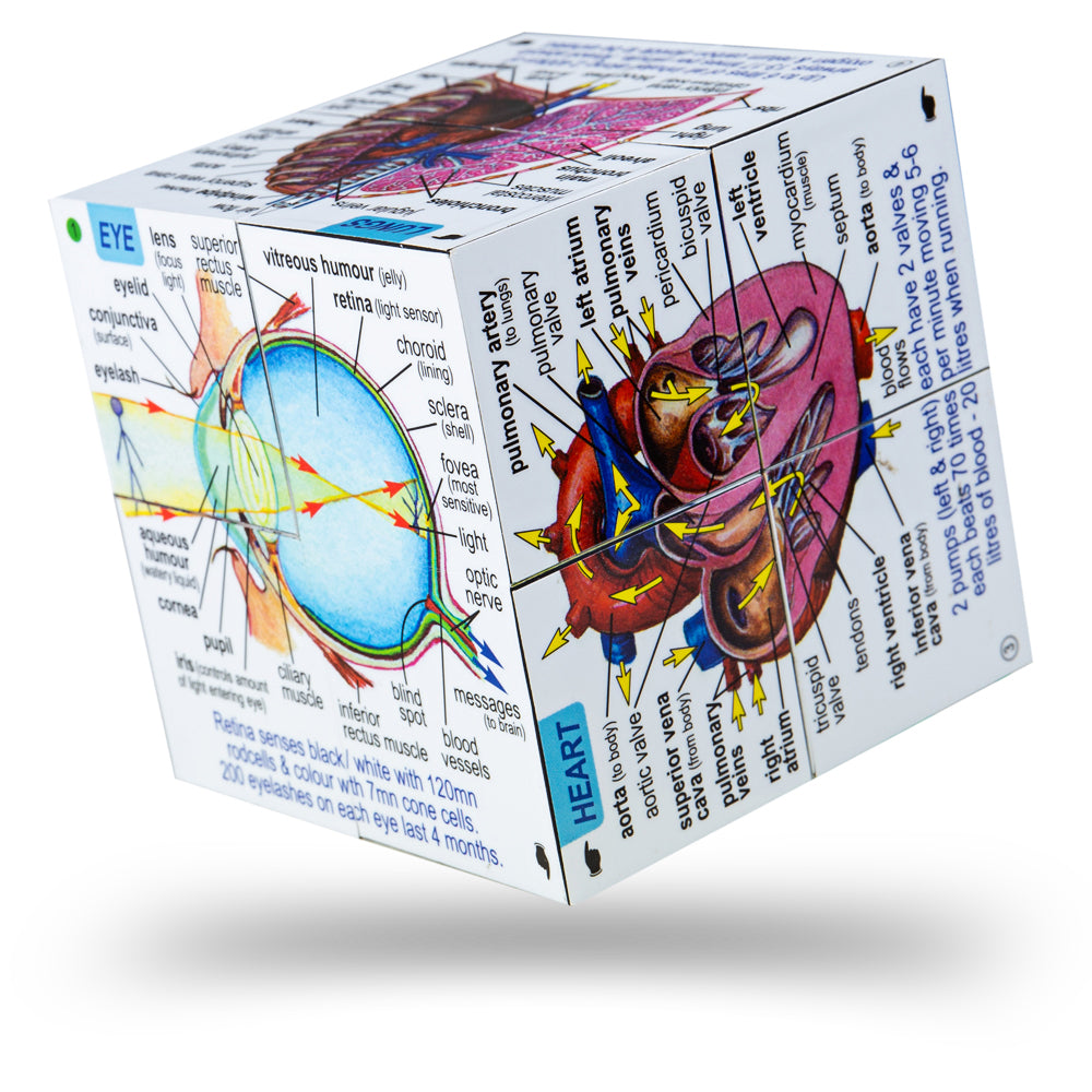 human-body-systems-and-statistics-cubebook-damaged-box-ZCC5020-1