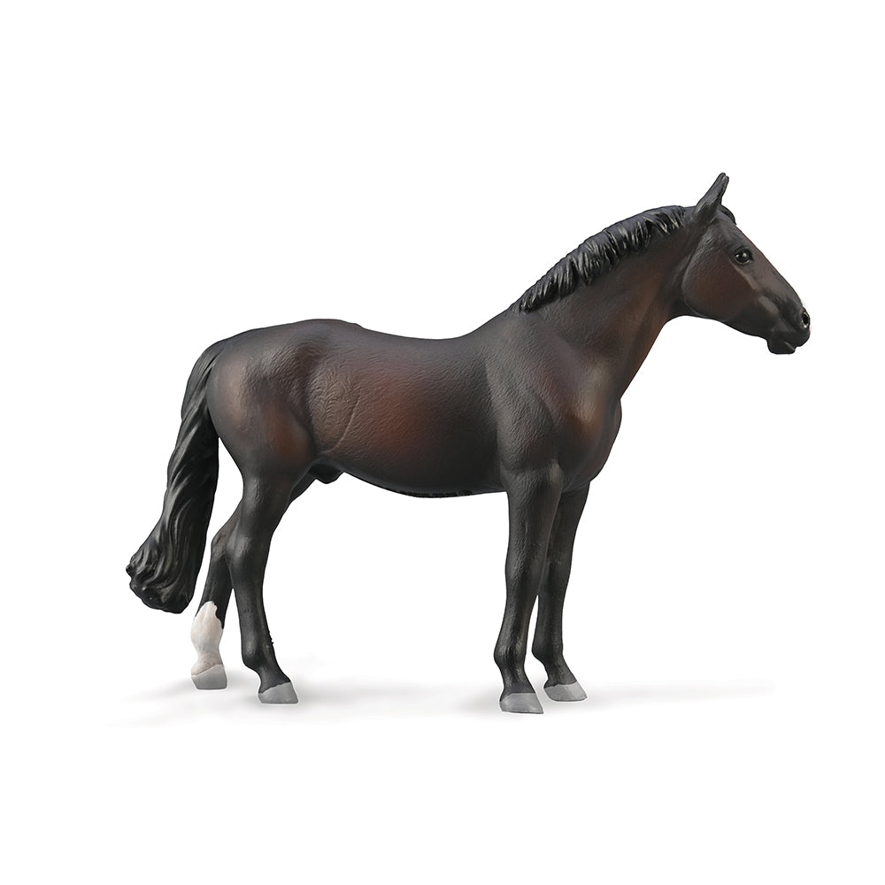 collecta-holsteiner-stallion-bay-9588987-1