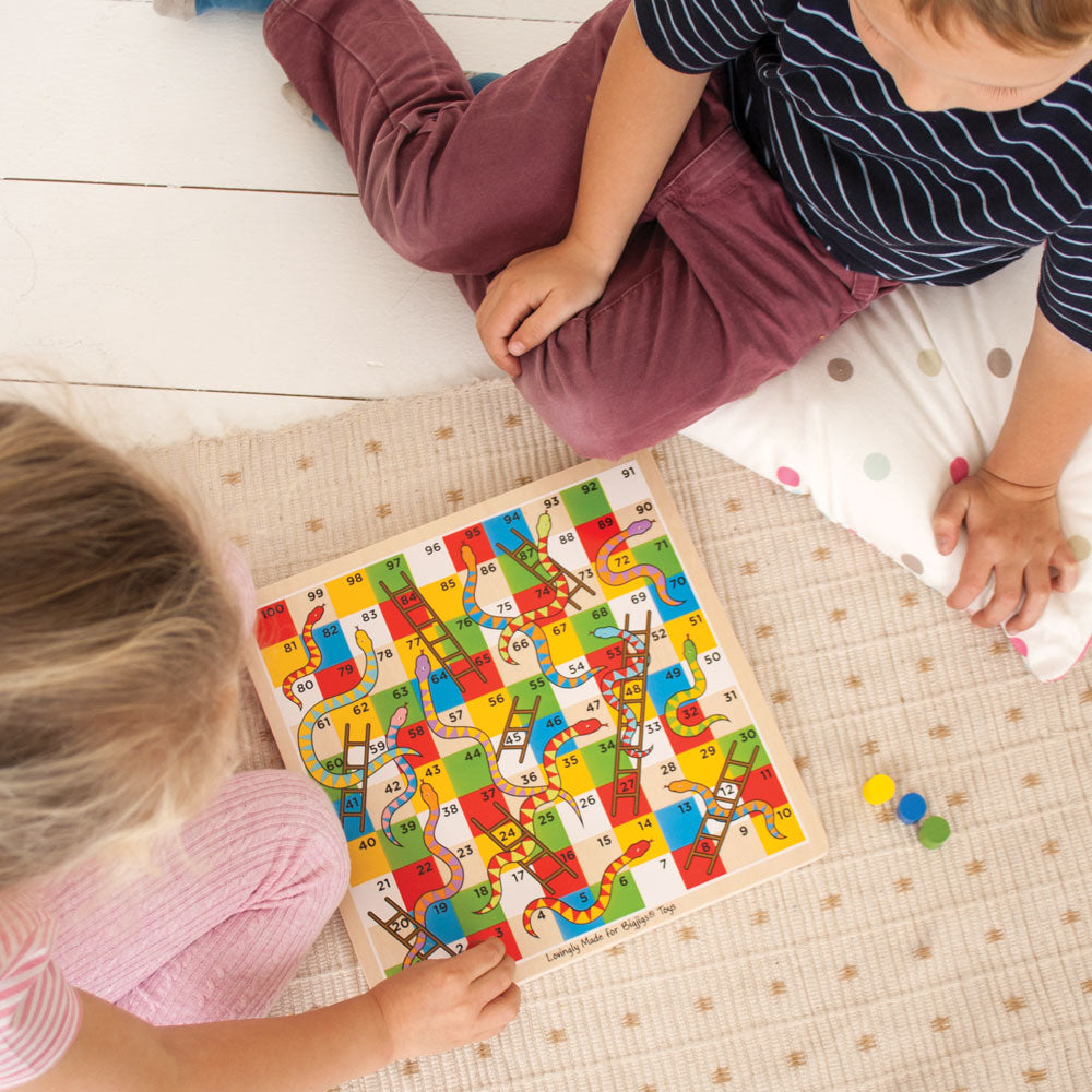 traditional-snakes-and-ladders-damaged-box-BJ788-5