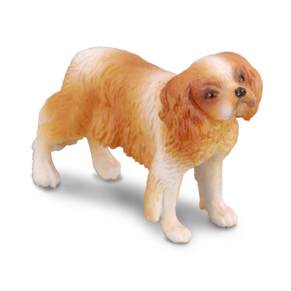 Collecta Cavalier King Charles Spaniel