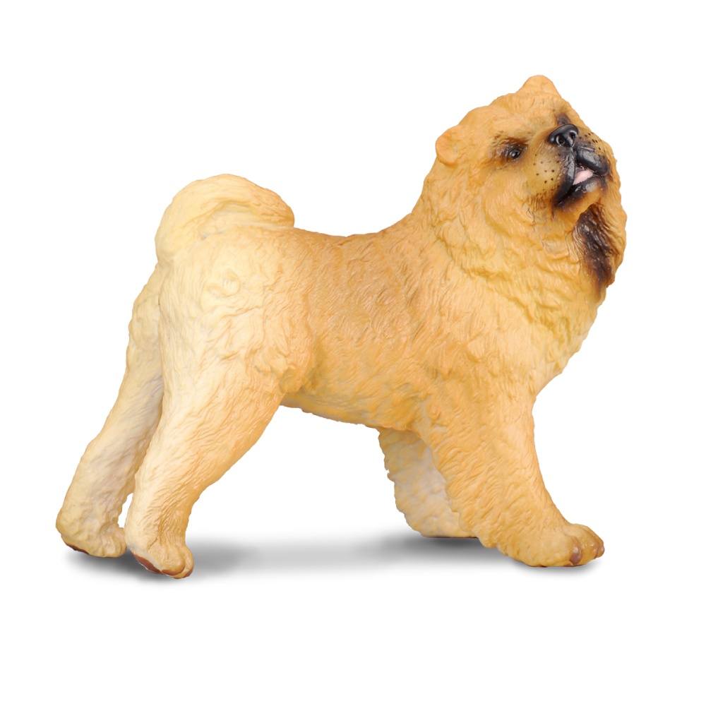 Yellow 2024 chow chow