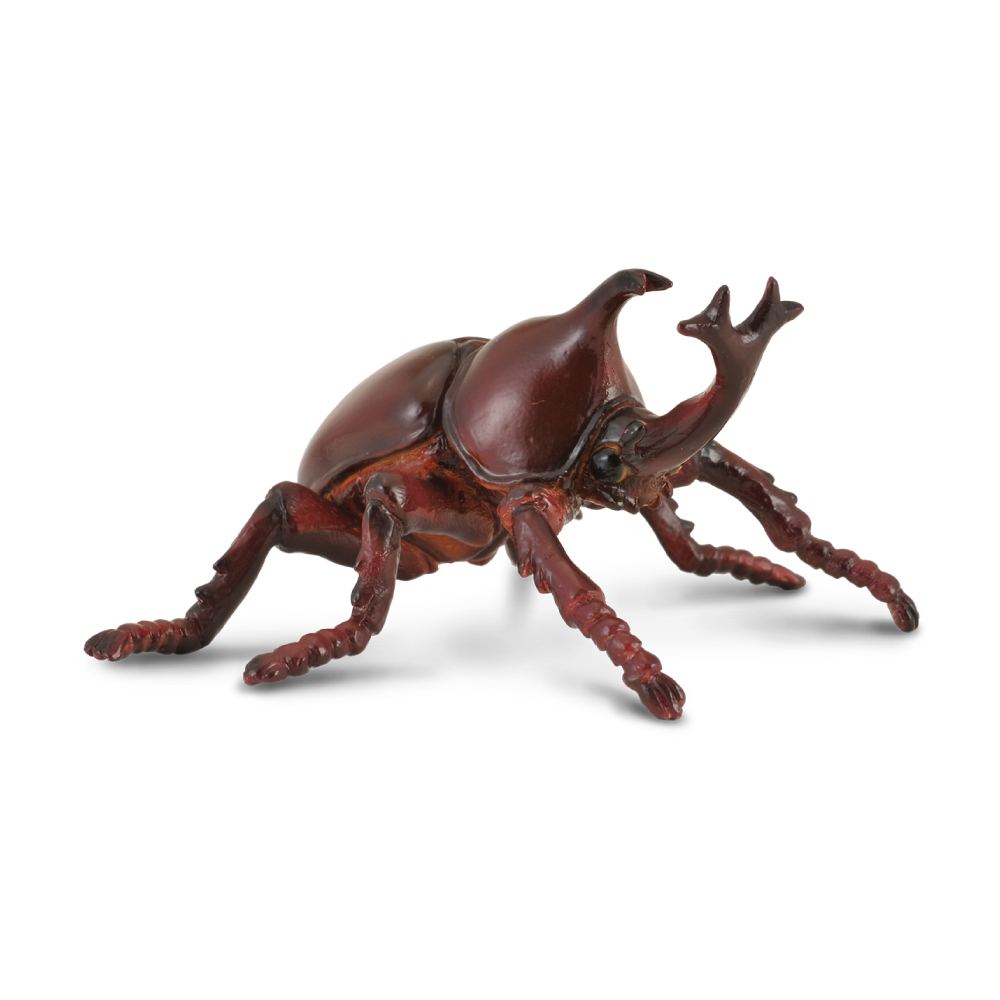 Rhinoceros Beetle Figurine | CollectA Collectable Animals – Bigjigs Toys