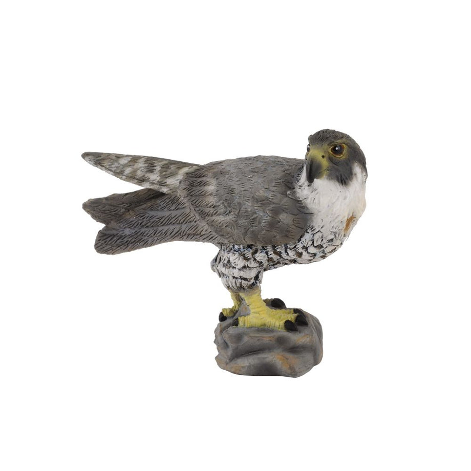 Falcon bird accessories best sale