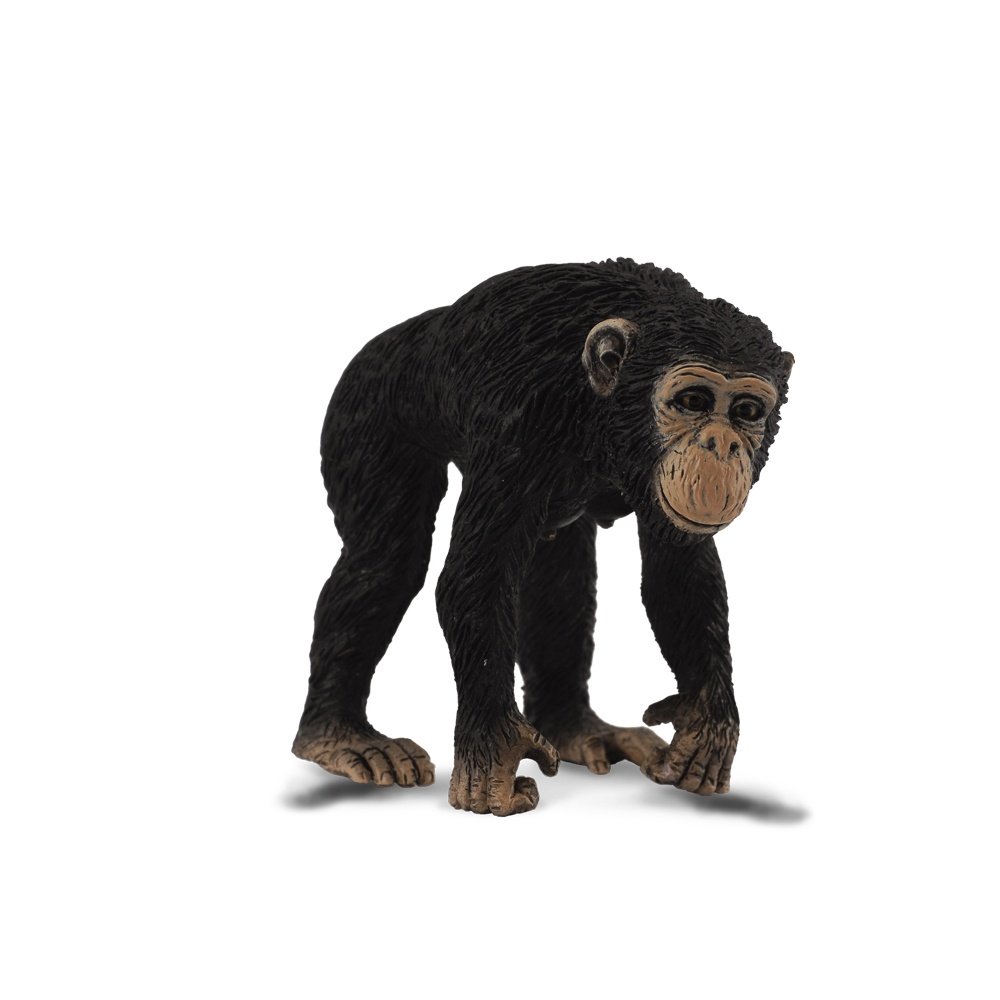 Collecta Chimpanzee Female