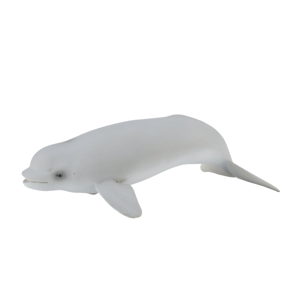 Beluga Calf Figurine | CollectA Collectable Animal Figures – Bigjigs Toys