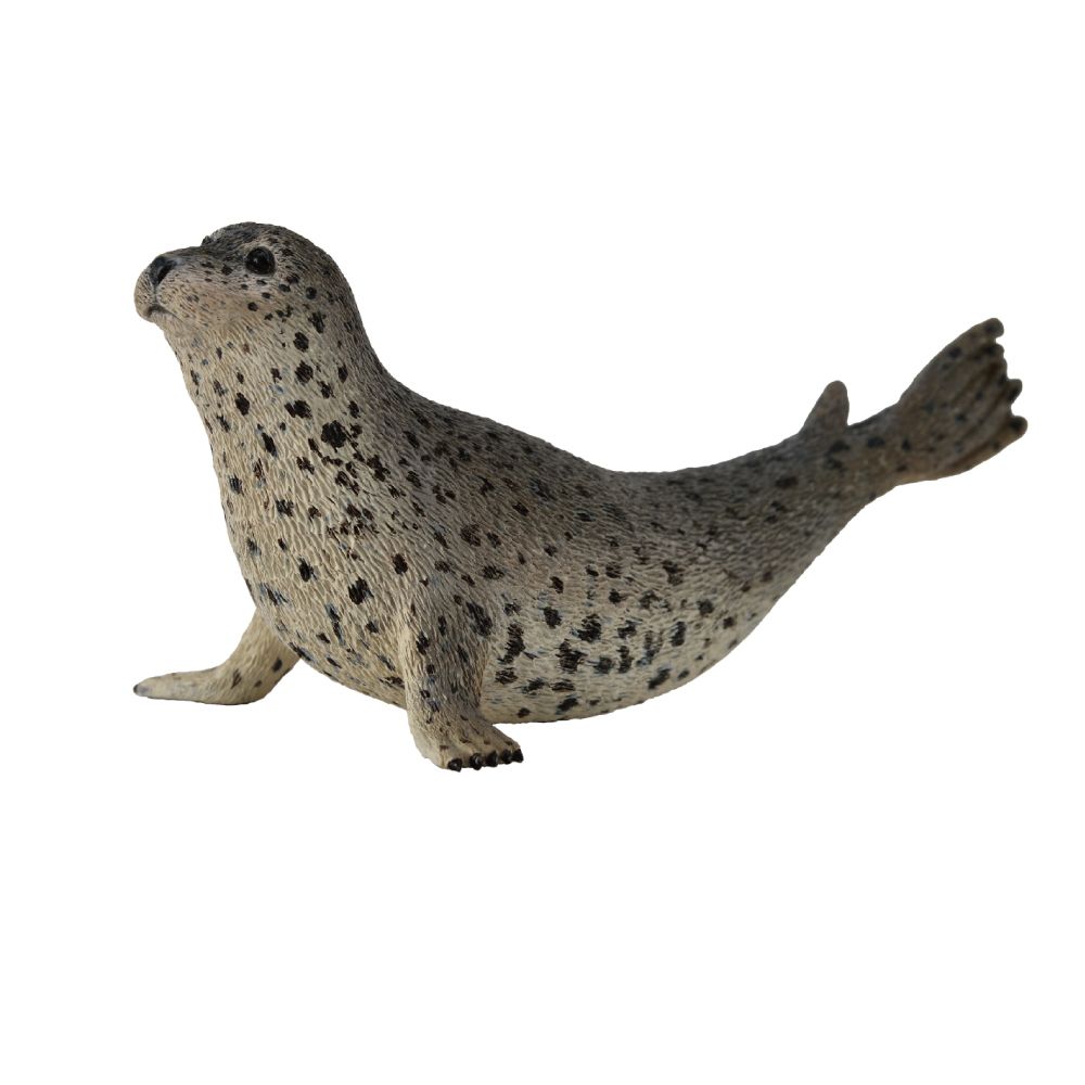 Spotted Seal Figurine | CollectA Collectable Animal Figures – Bigjigs Toys