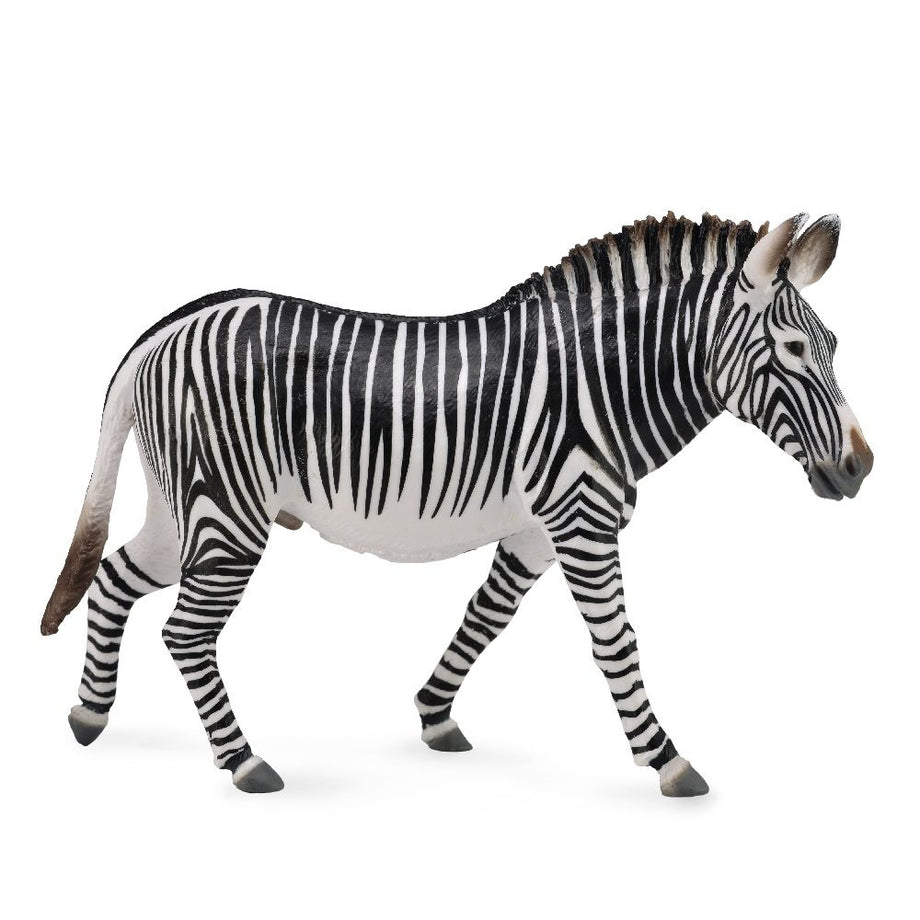 Grevy'S Zebra Figurine  CollectA Collectable Animal Figures – Bigjigs Toys