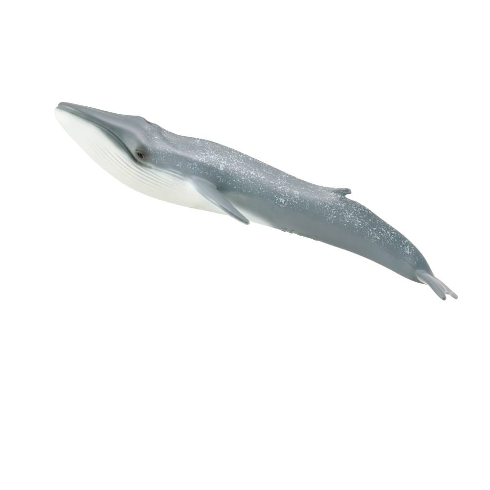 Blue Whale Figurine | CollectA Collectable Animal Figures – Bigjigs Toys