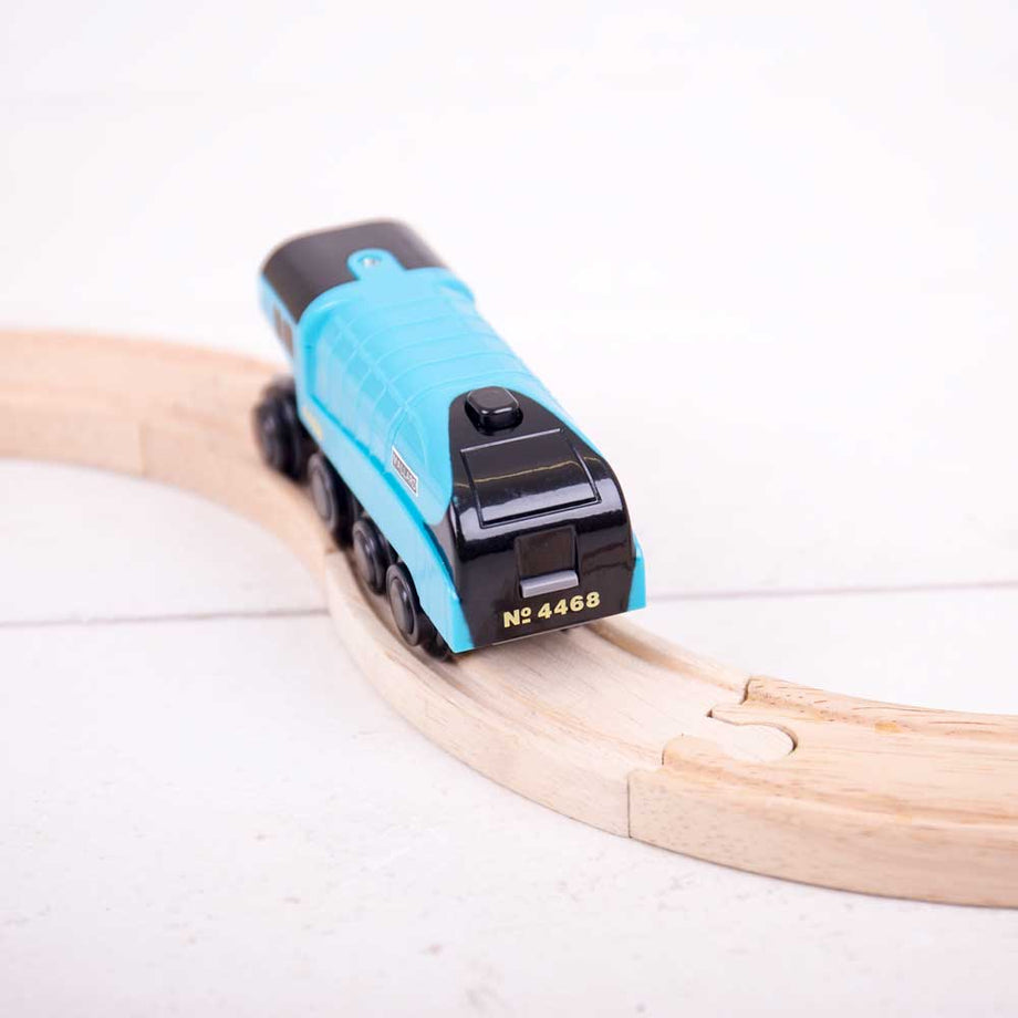 bigjigs motorised trains